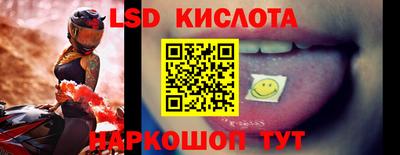 крисы Котовск
